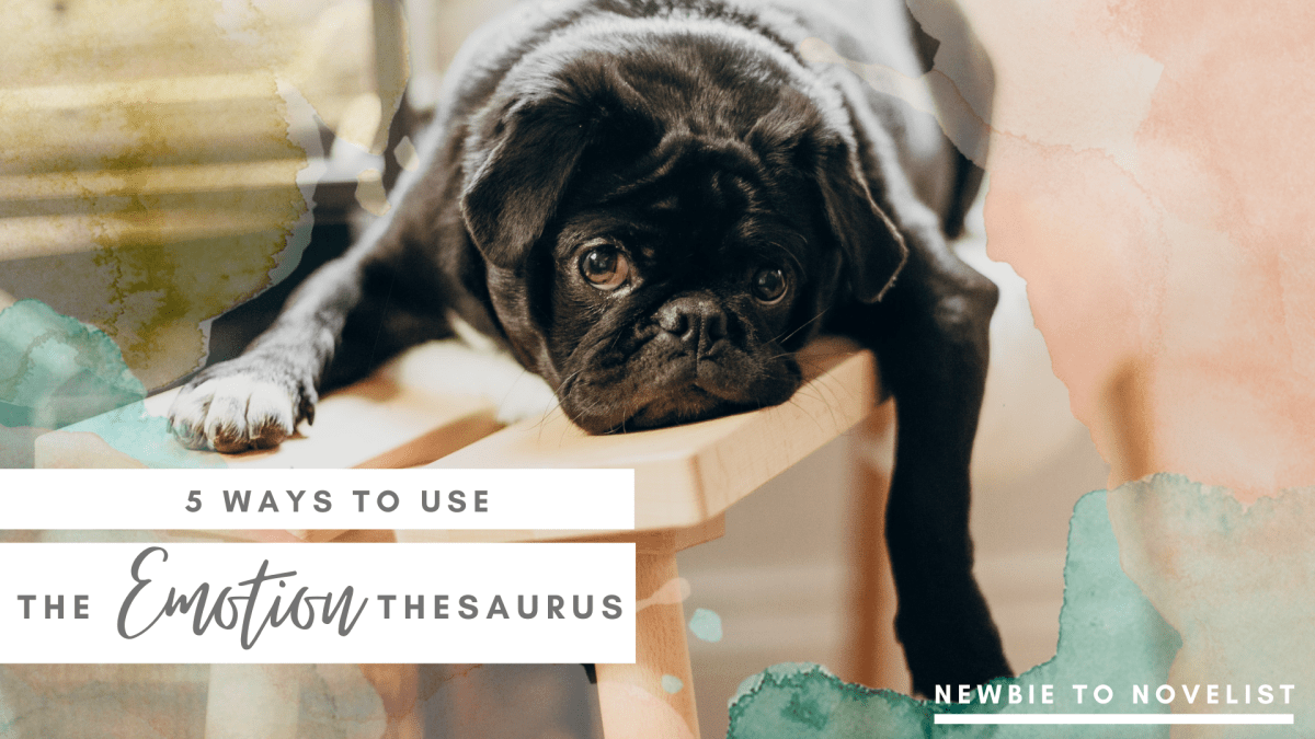5 Ways to Use the Emotion&nbsp;Thesaurus